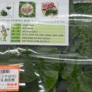 시티팜 주식회사 네이버블로그