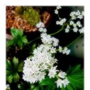 석부농장 이미지