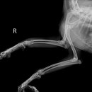 한결동물병원 이미지