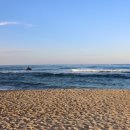 레이벨류 이미지