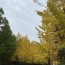 (주)웨이셀 이미지