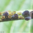 도감행정사사무소 이미지