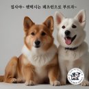 우리고 펫택시 이미지