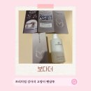 샴푸 - 삼척시 진주로 20 | 보다더펫샴푸｜강아지 피부 트러블 저자극 샴푸 후기