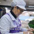 전통떡집쑥떡쑥떡 이미지