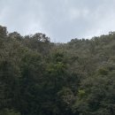 그리너리문팬션 이미지