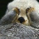 그레이스호텔 이미지