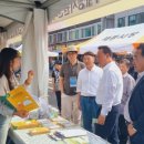 여주-1129 이미지