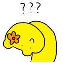 릴리뷰티 이미지