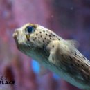 정운공인중개사사무소 이미지