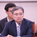 나이브 일간경기