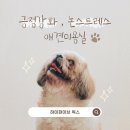 하이파이브 독스 이미지