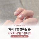 두실지하철역 1 | 정자역 네일 자석네일 어도어네일스튜디오 가격 예약 후기