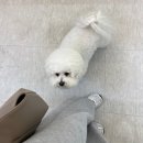 더나인 하남미사 미인점 후기, 자연스럽고 예쁘게 30분만에 완성