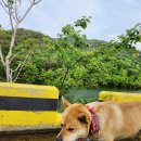 상주농협 하나로마트 앞 이미지