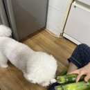구의동페리카나 이미지