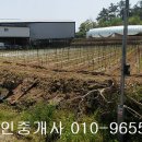 군남면-1 이미지