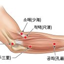 팔꿈치 주변의 곡지, 소해, 척택혈 이미지