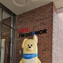 경북대학교 동물병원 이미지