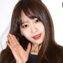 하니몰 이미지