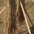 세봉농장 이미지