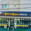 가야흑돼지