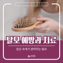 안산 본오동 탈모치료 예방을 위한 습관과 도움 되는 샴푸 성분