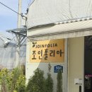 🌿 조인폴리아 다녀옴! 2시간 구경하다가 결국 식물 데려온 후기