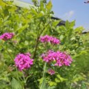 우석농장 2 이미지