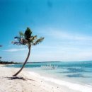 카리브해 이미지