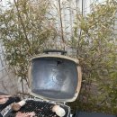 태안풀빌라바니 이미지