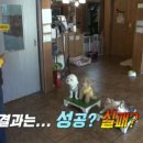 아껴줄개