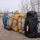 스콜피언 이미지