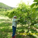 지인농장2 이미지