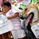 강아지 친구 이미지