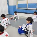 경희대 보람 태권도장 네이버블로그