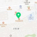 지소현커피나무 이미지