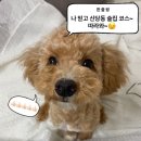 [신당동 횟집] 마츠다부장님 맛집! 해물포차 해녀 / 2차 누리담 술집 방문 후기