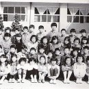 죽향초 이미지