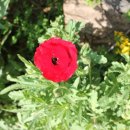 청자로민박 이미지