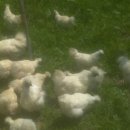 태성농장 이미지