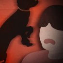 전치 앞(1) 이미지