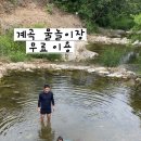 땅콩 게임장 네이버블로그