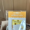 청림화분 이미지