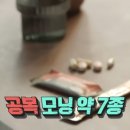 전참시에 나온 이사배 하루 식단 (초절식ㄷㄷ) 이미지