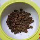 네츄럴트리트 이미지