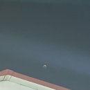 킹스바디라인