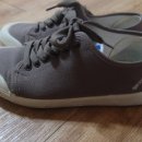 브라운스프링 이미지