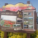 사월의 차(茶)...//곡우 이미지