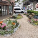 서대문구보건소 이미지